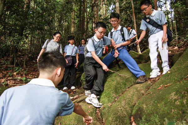 Tzu Chi Teenagers Develop Teamwork Over Nature Hike